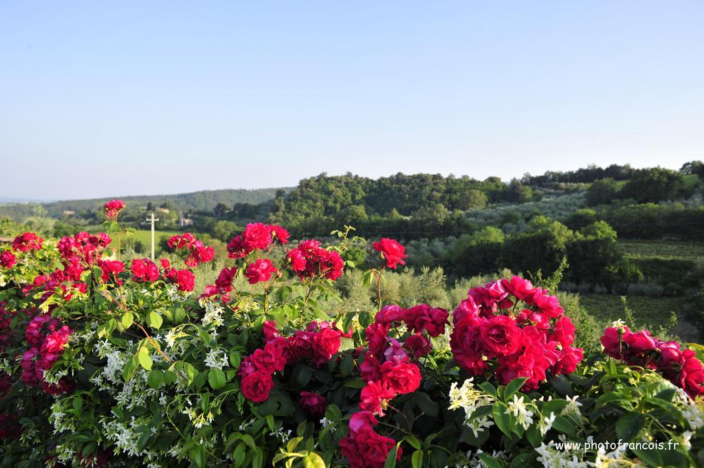 Agriturismo Il Sasso Montepulciano Exterior photo