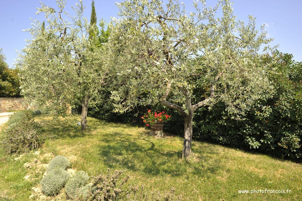 Agriturismo Il Sasso Montepulciano Exterior photo